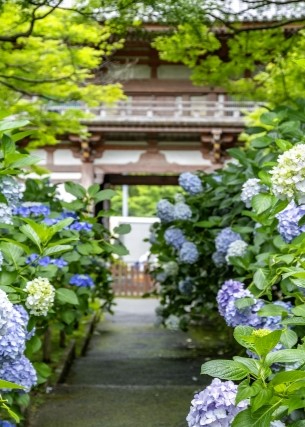 久安寺（きゅうあんじ）