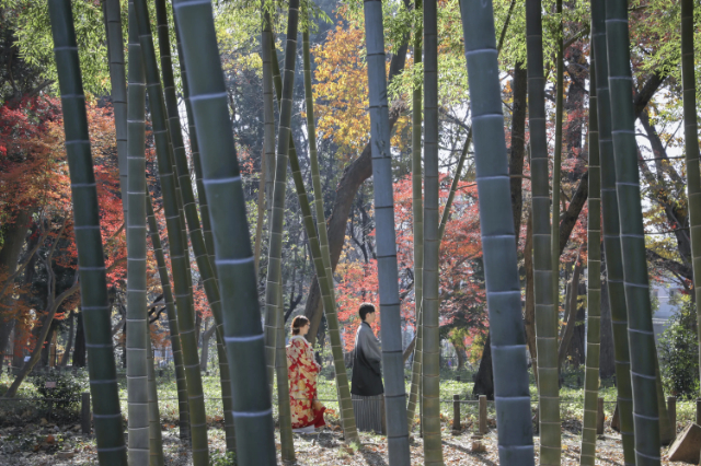 蘆花恒春園（ろかこうしゅうえん）