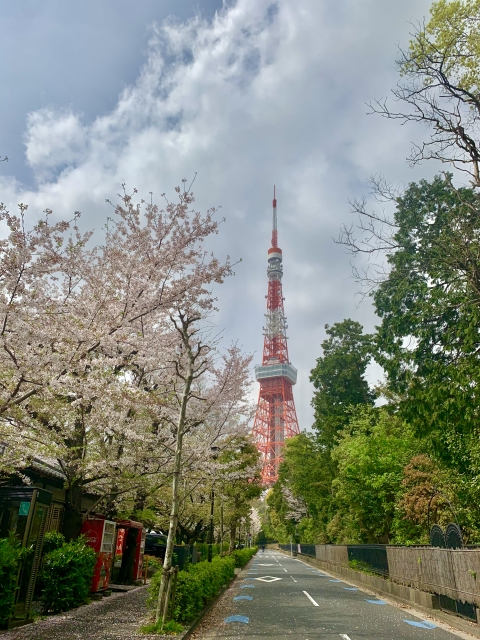 東京タワー（芝公園）