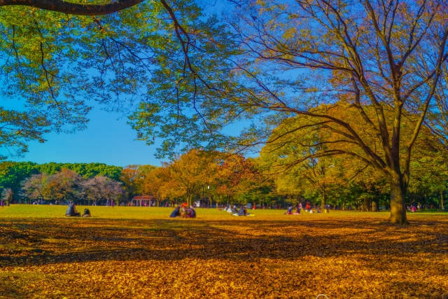 代々木公園