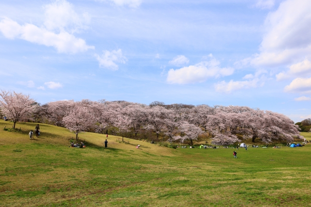 根岸森林公園